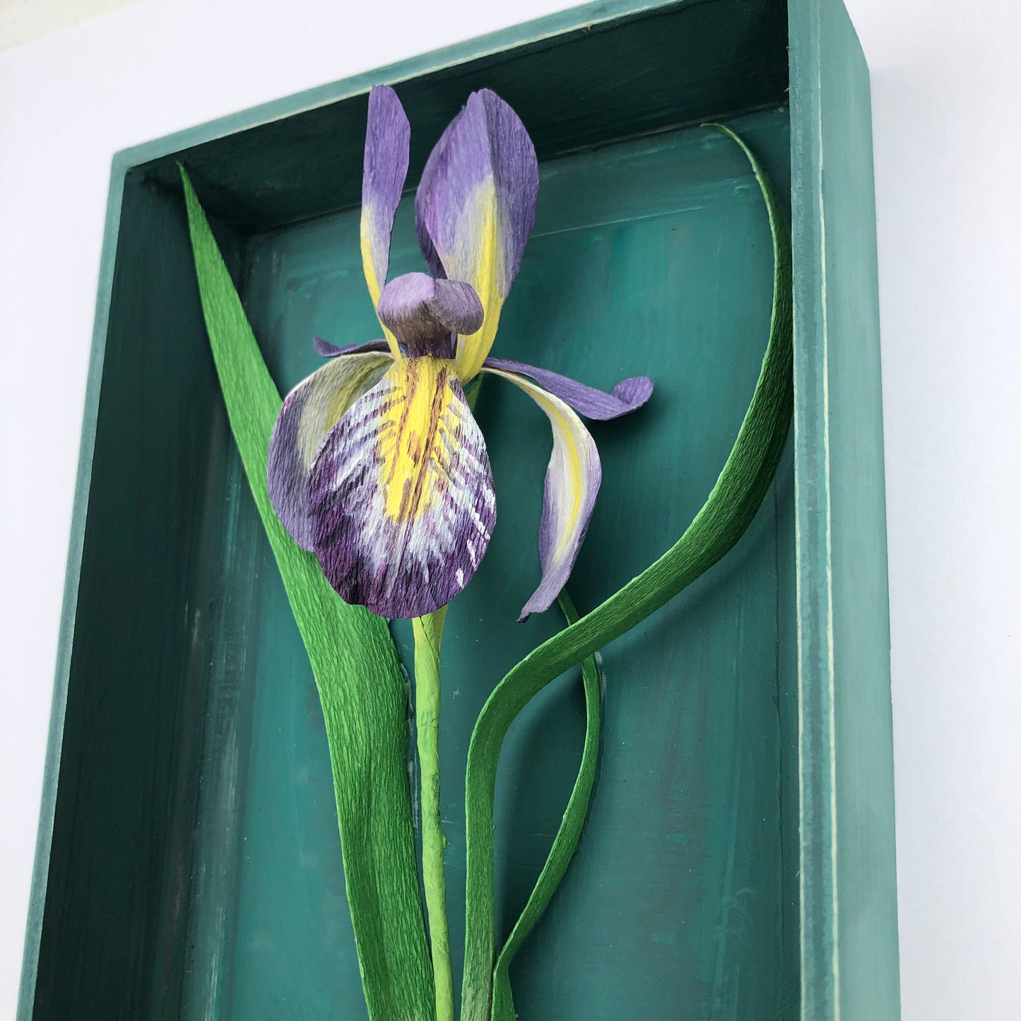 Iris