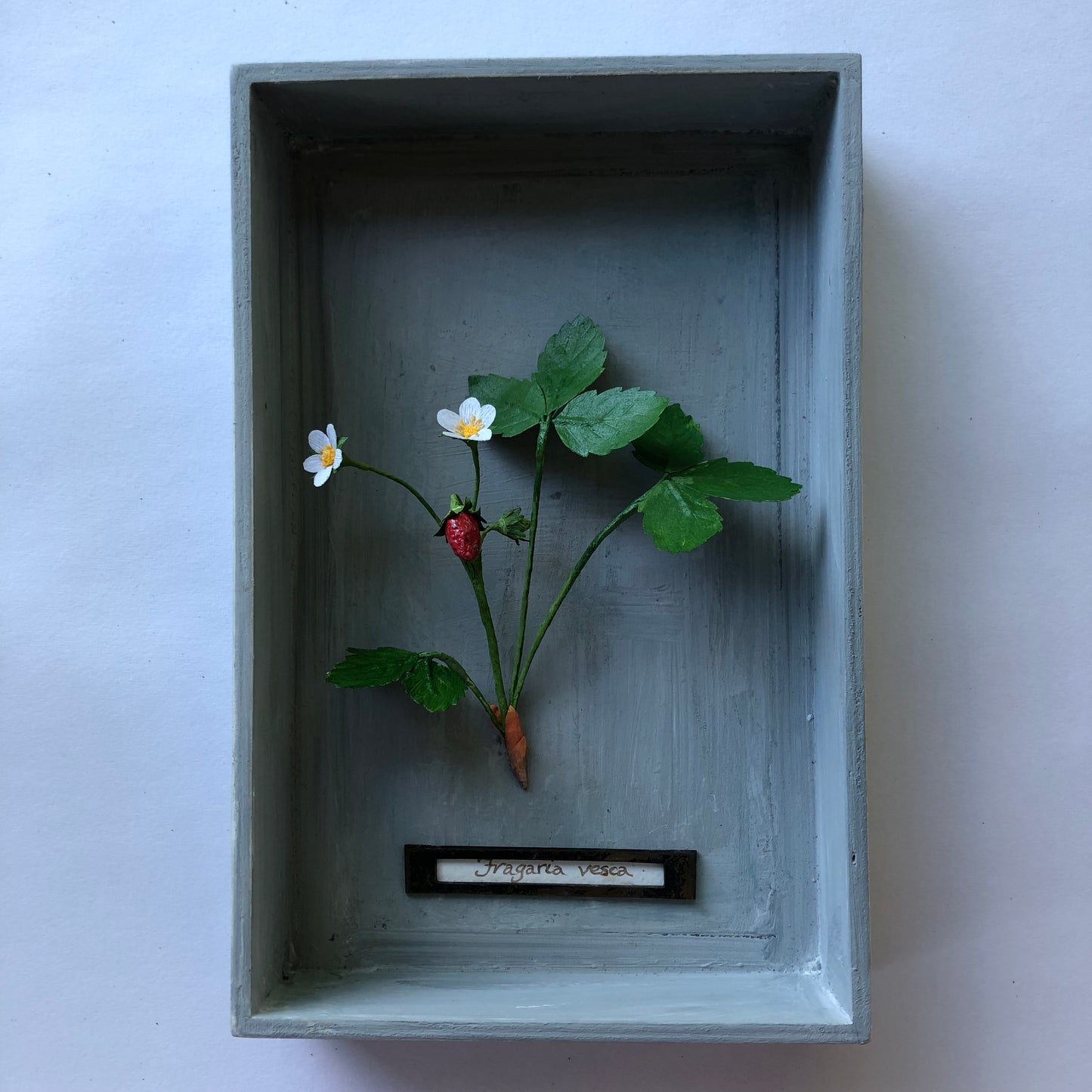Wild strawberry