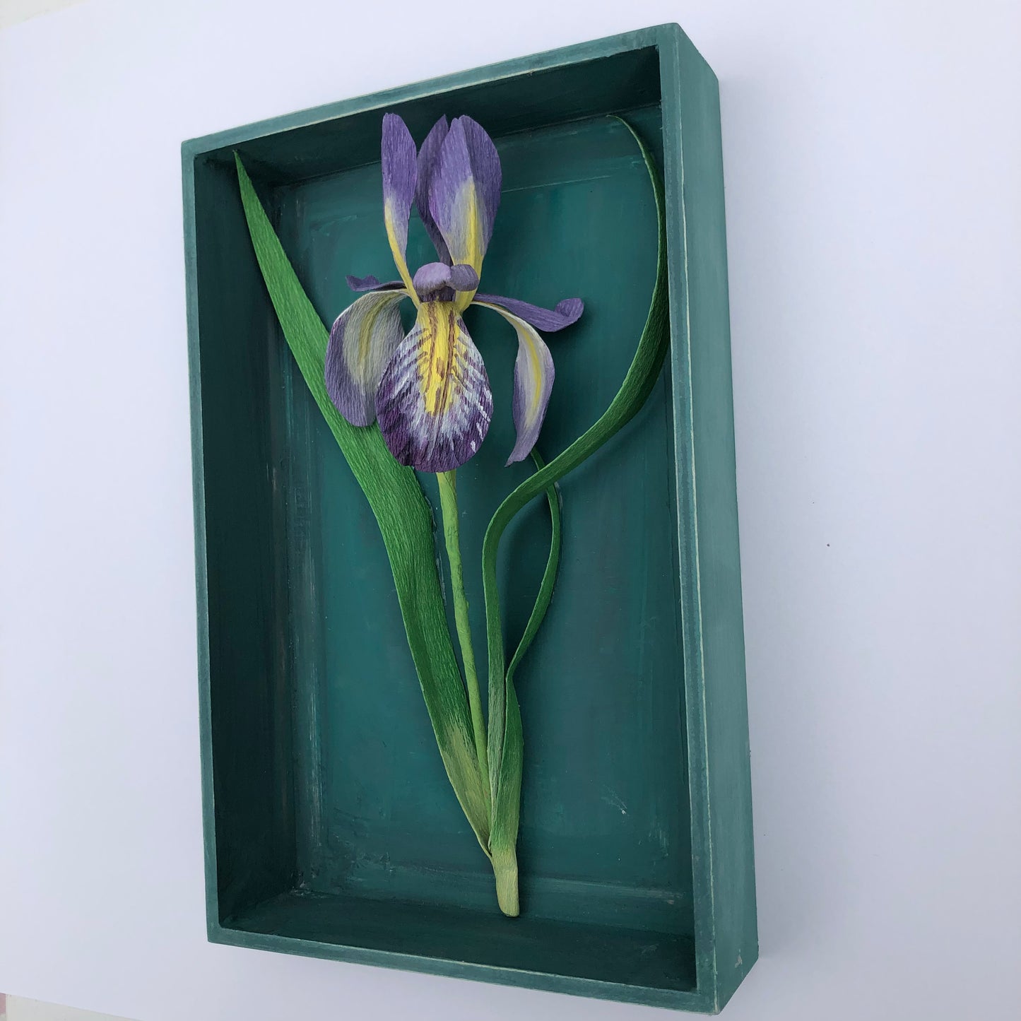 Iris