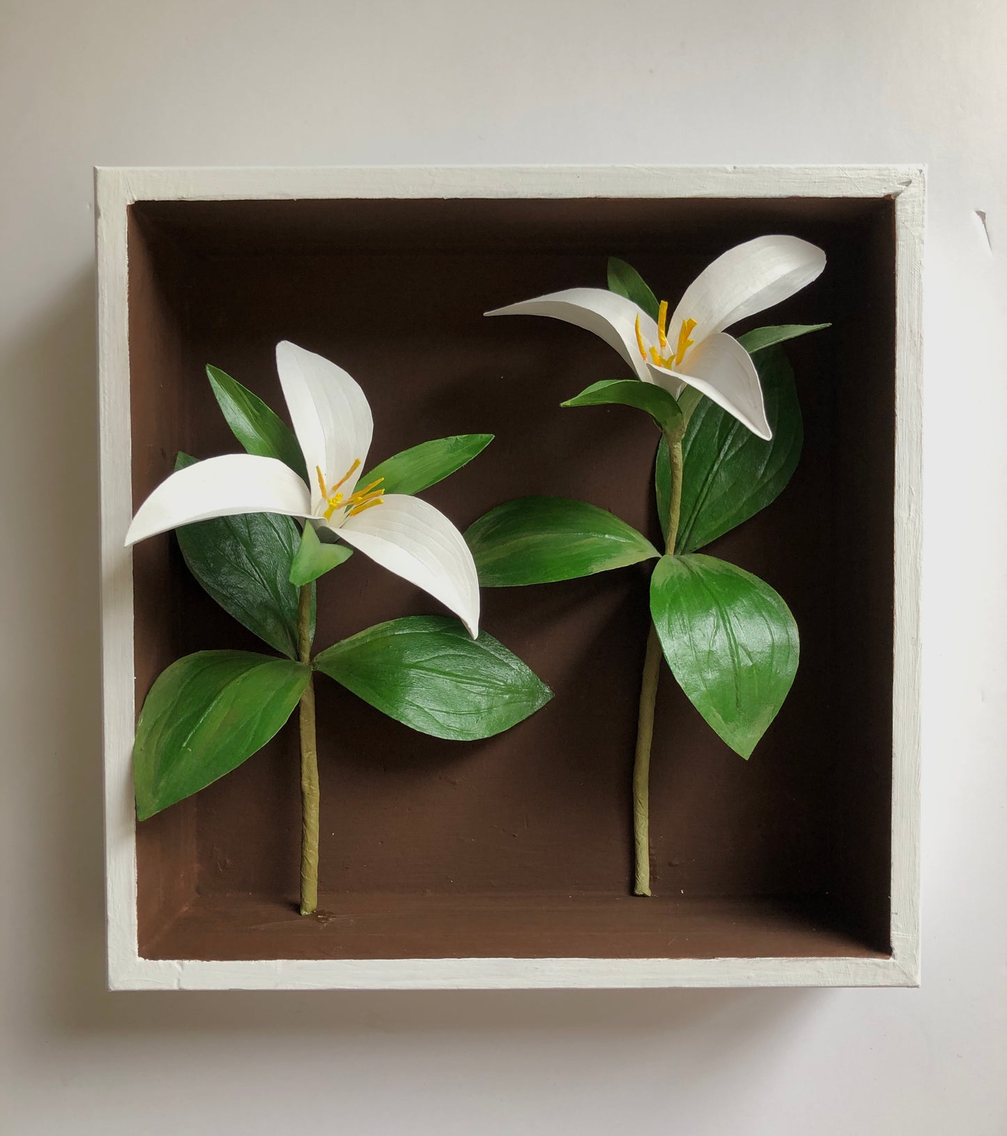 Trilliums