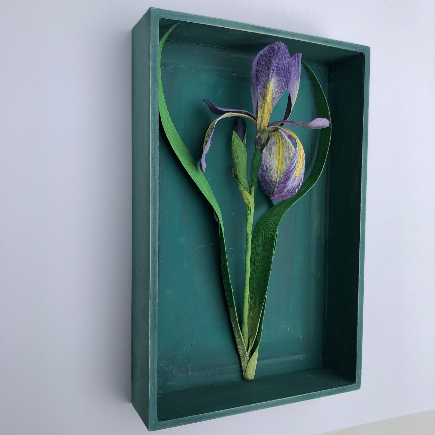 Iris