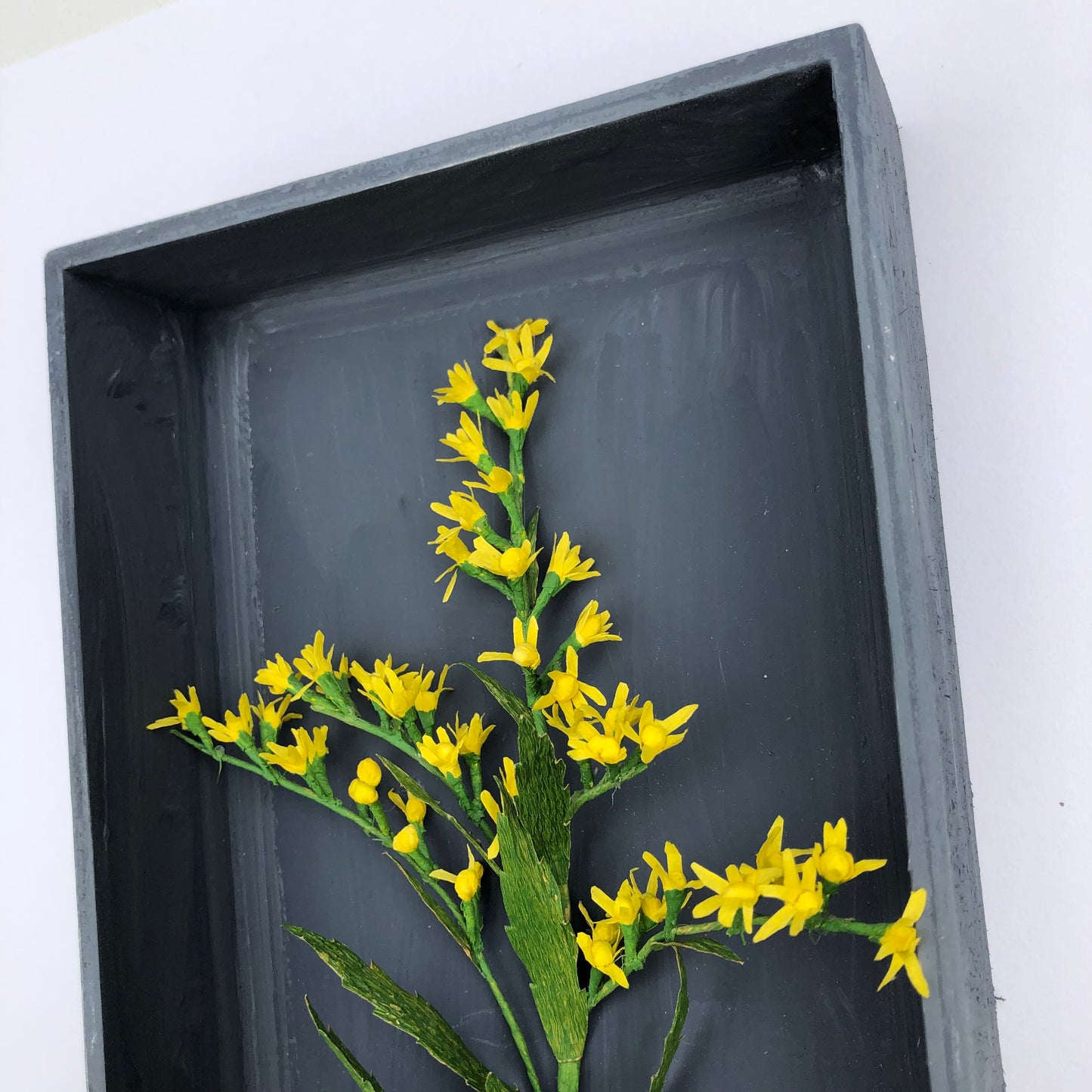 Goldenrod