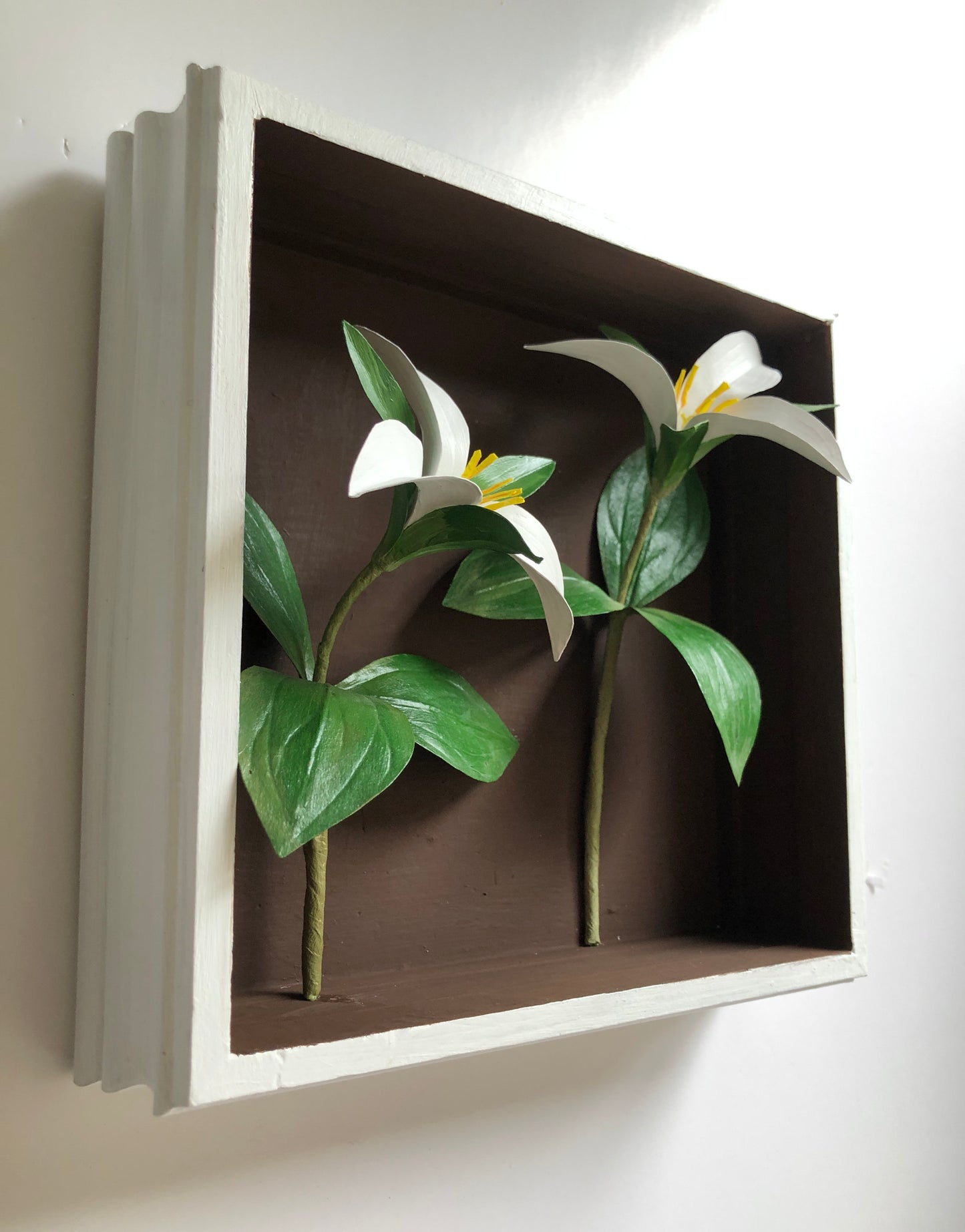 Trilliums