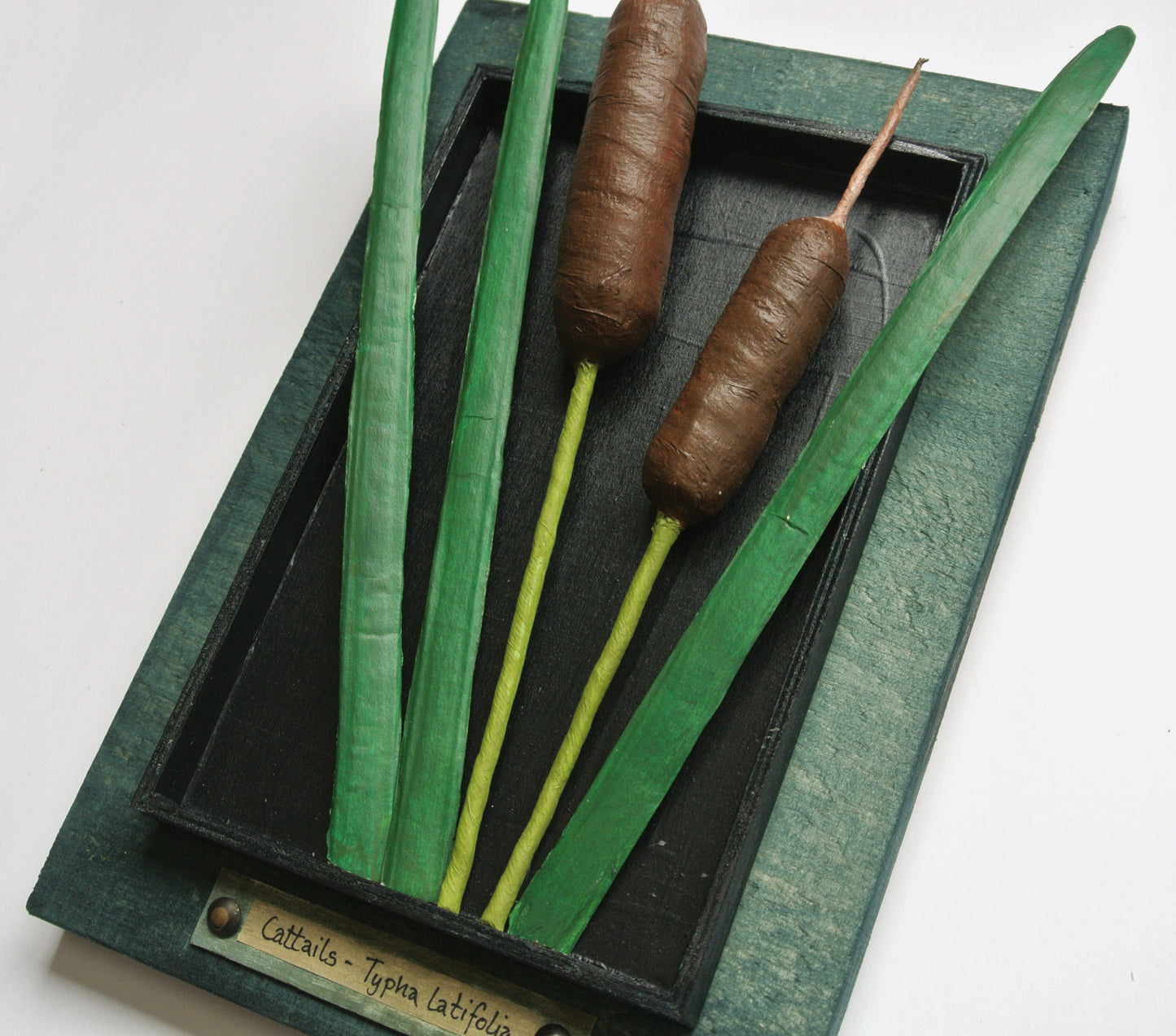 Cattails