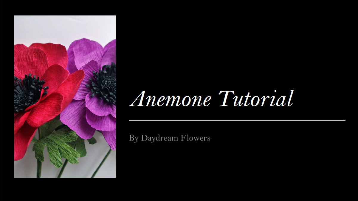 Tutorial: Anemone