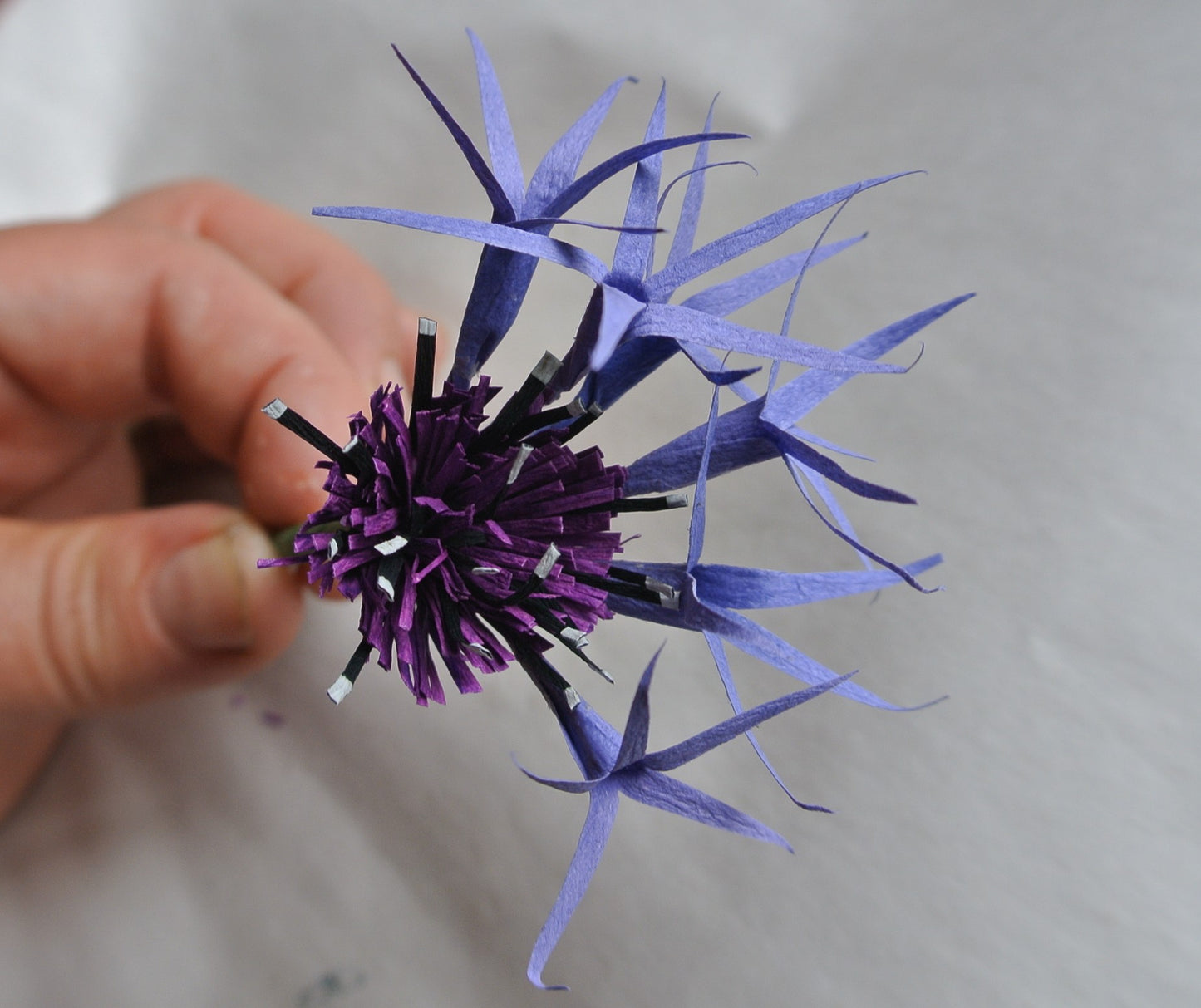 Tutorial: Centaurea (Bachelor Button)