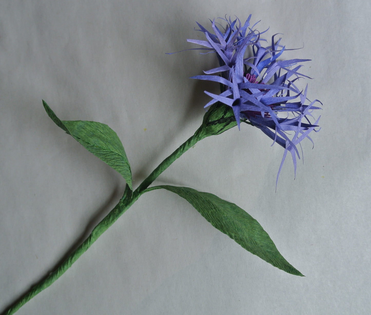 Tutorial: Centaurea (Bachelor Button)