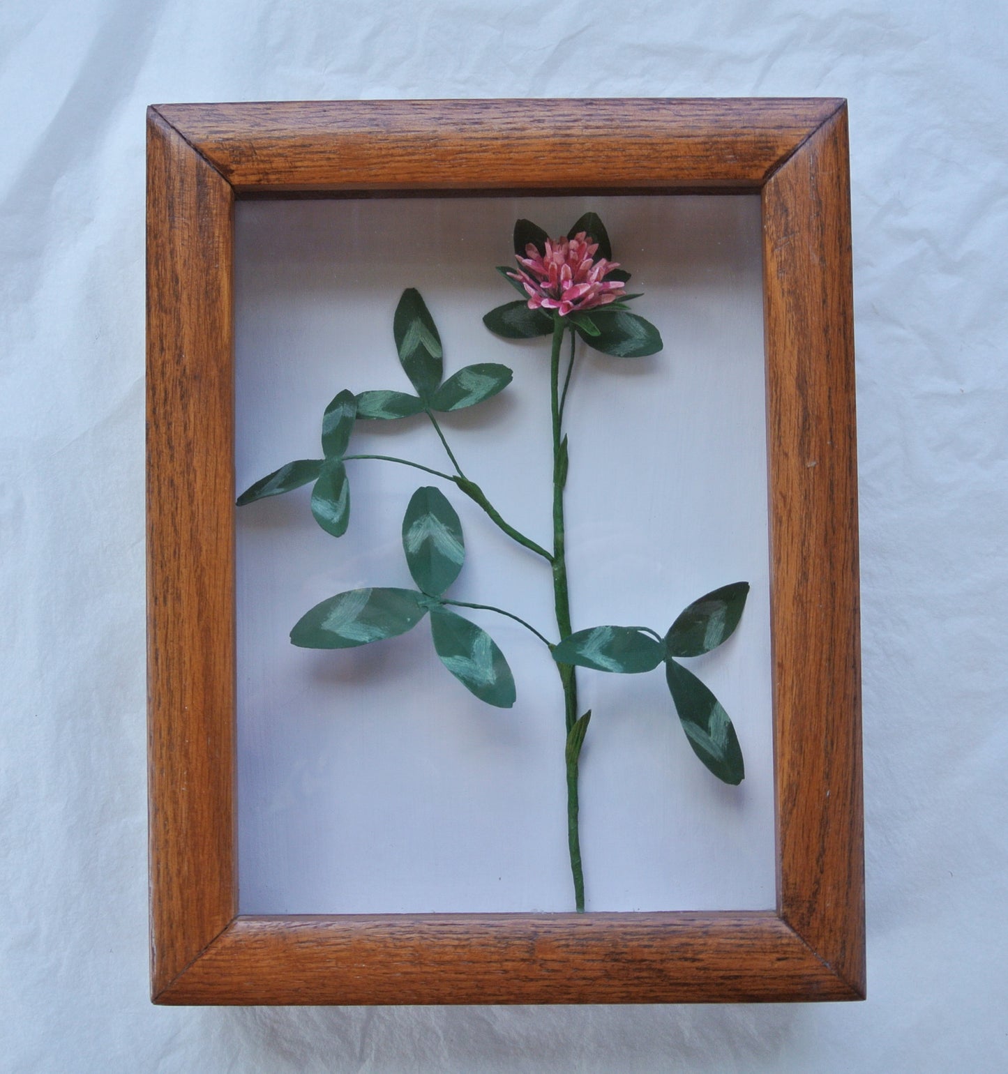 Red Clover