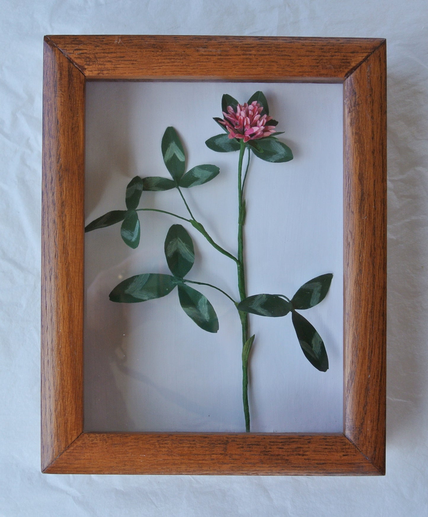 Red Clover