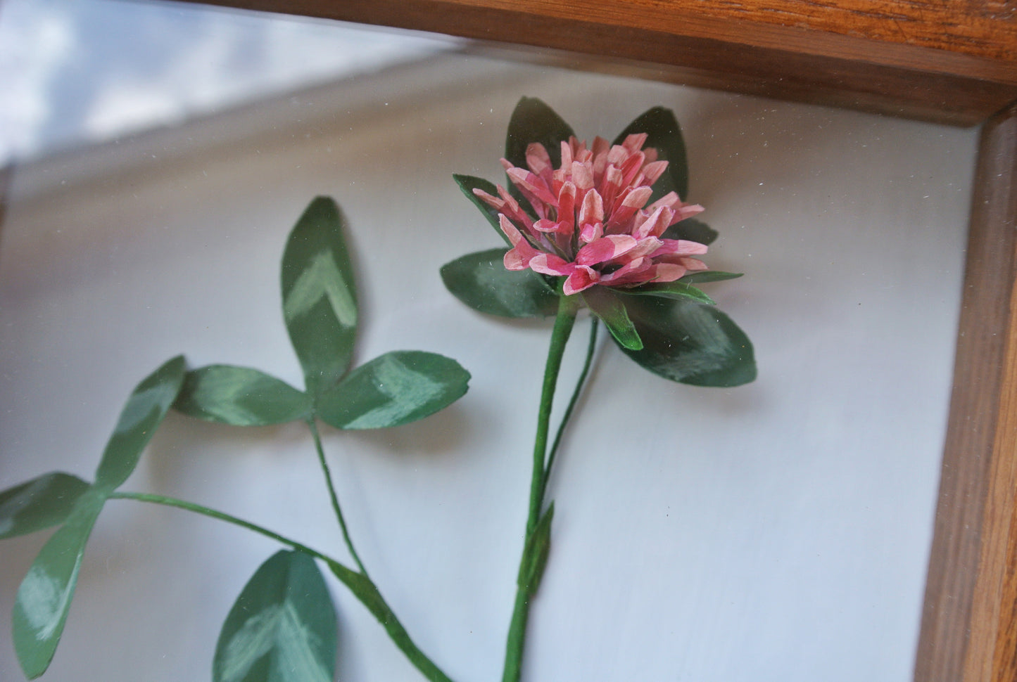 Red Clover