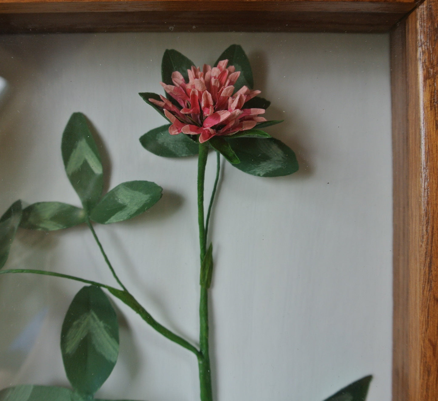Red Clover