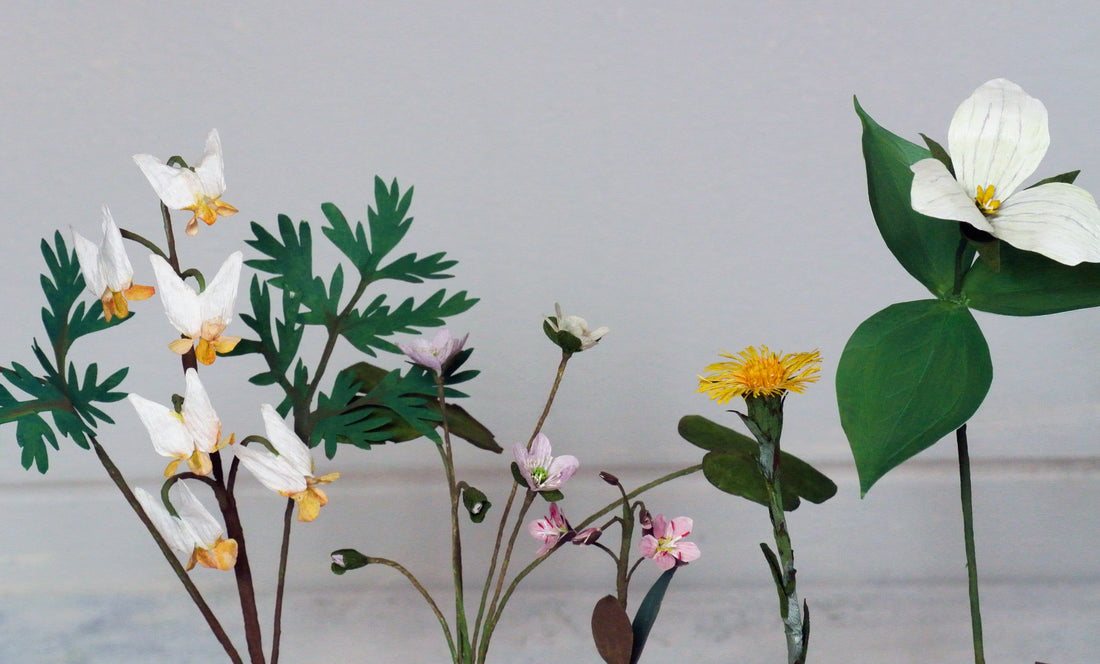 Spring Ephemerals