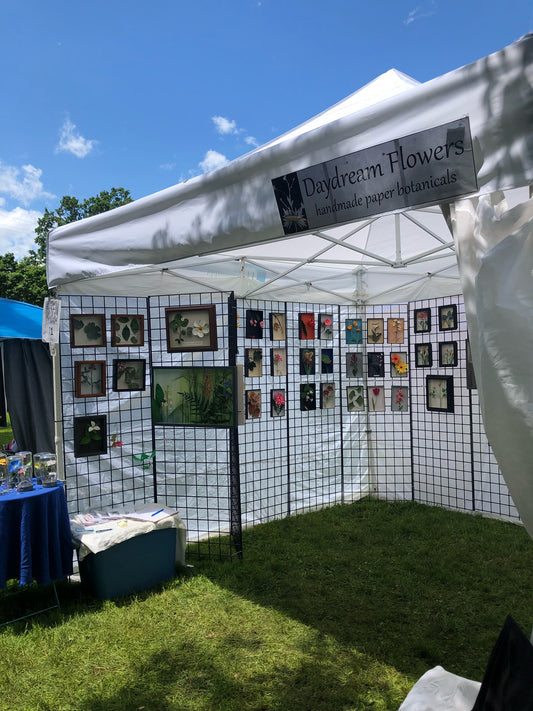 Art Show