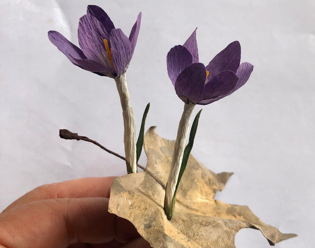 What's new for April at Daydream Flowers