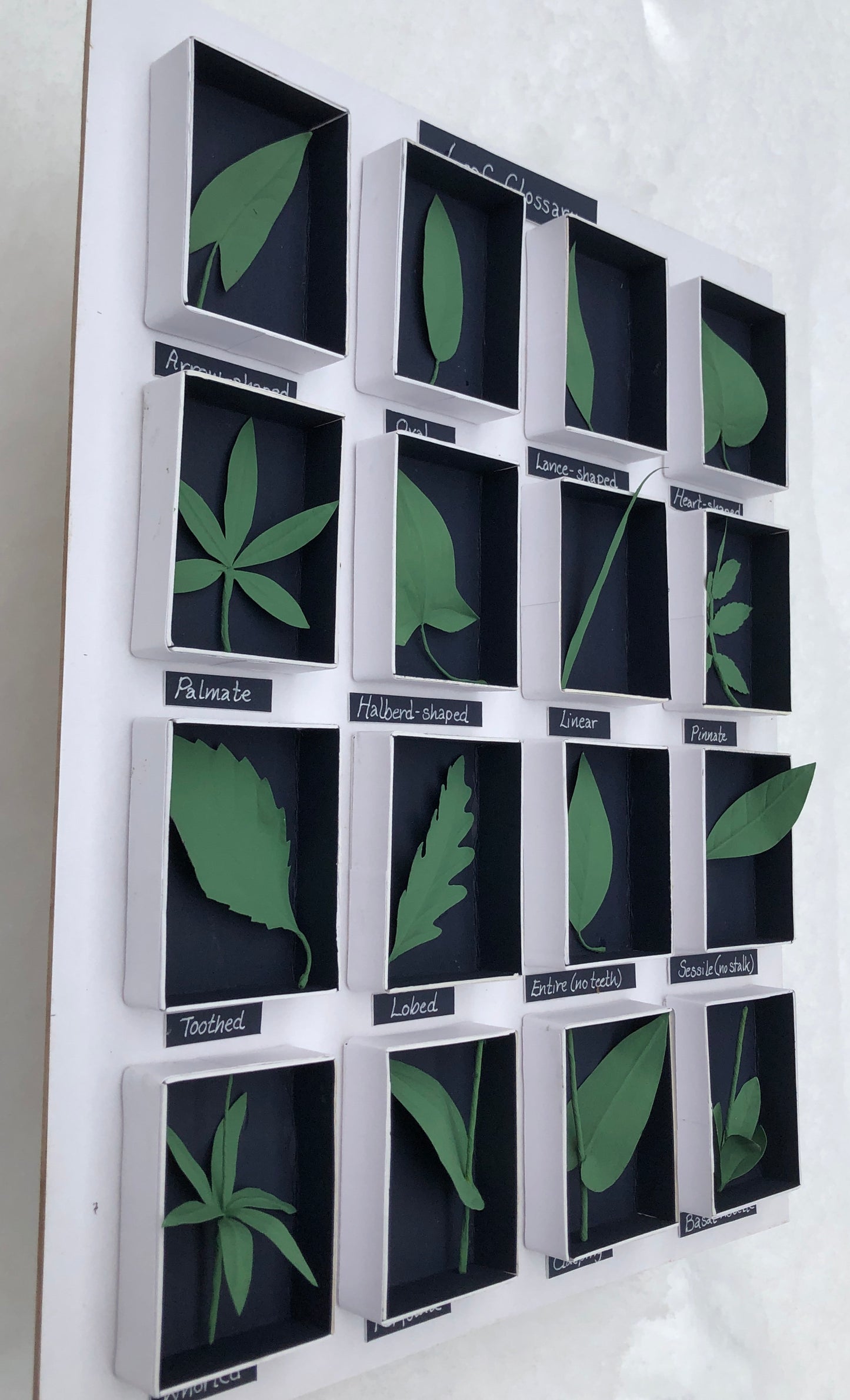 Leaf Glossary