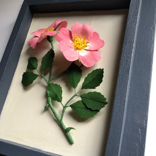 Paper Wild Rose Workshop