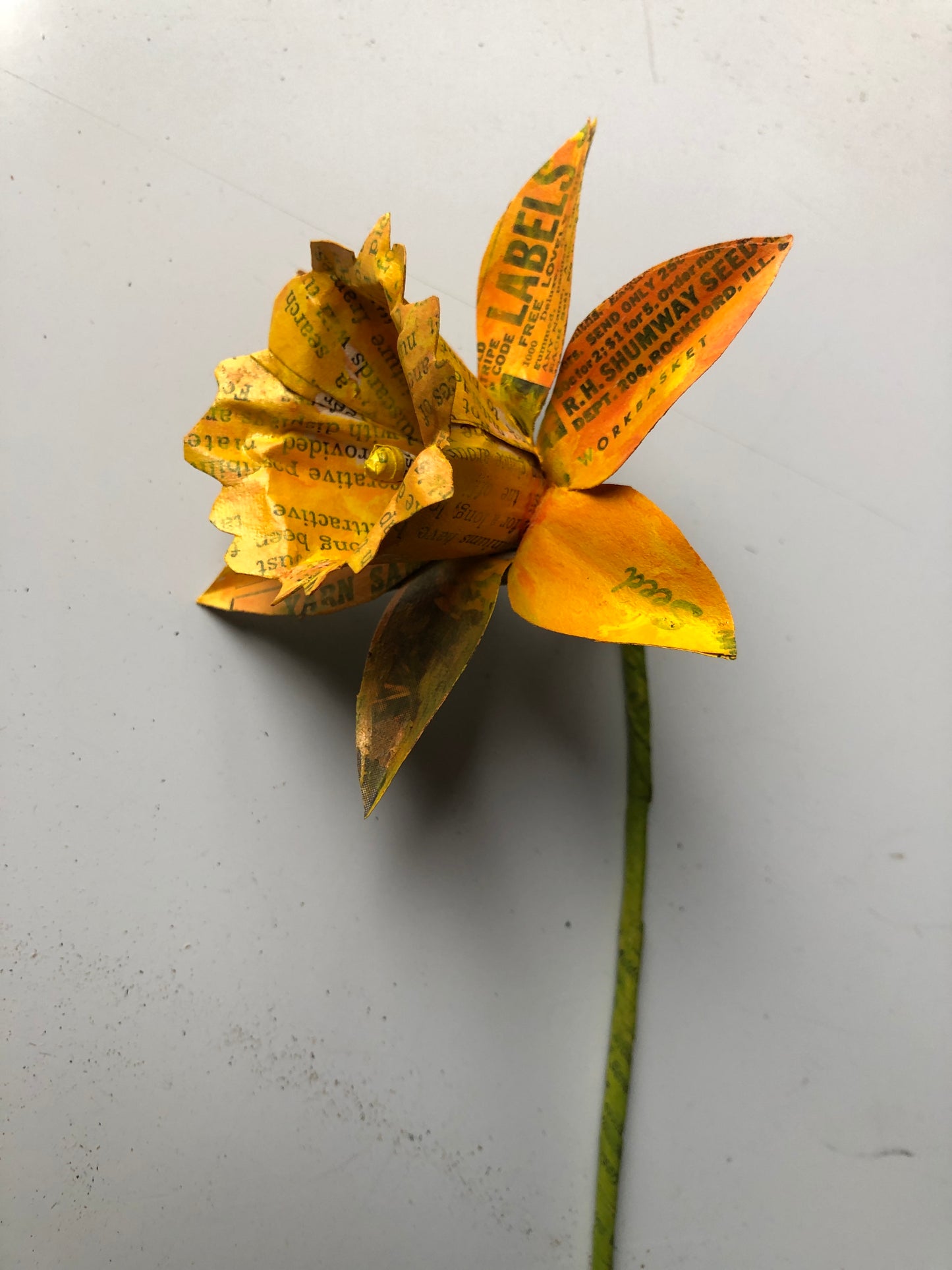 Paper Daffodil Workshop