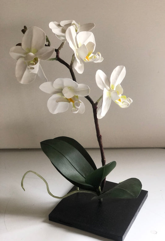 Orchid