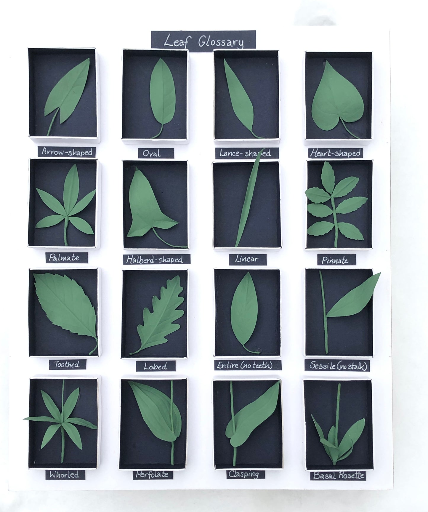Leaf Glossary