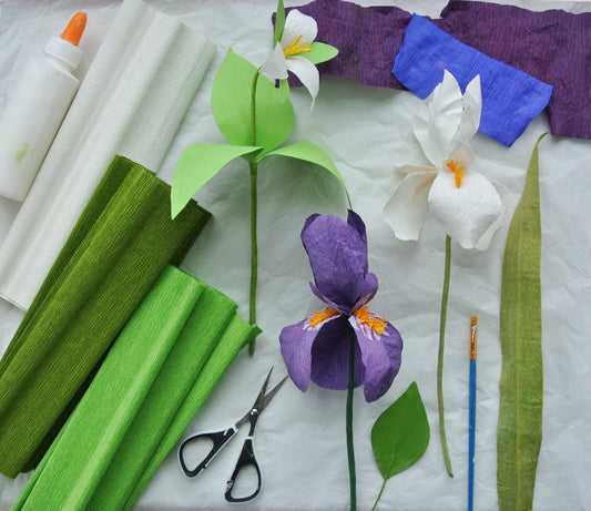Paper Iris Workshop