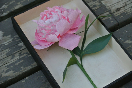Peony Workshop