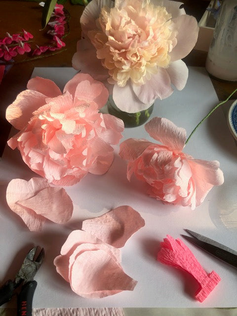 Peony Workshop