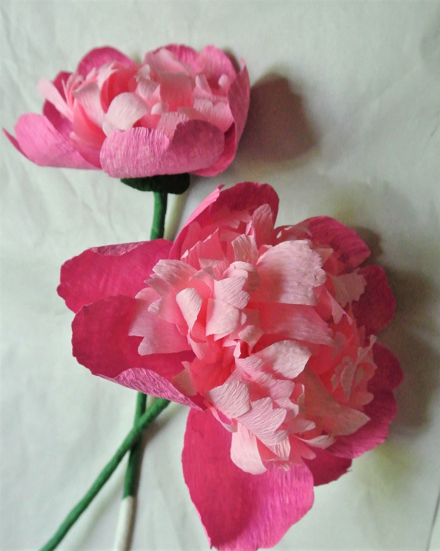 Peony Workshop