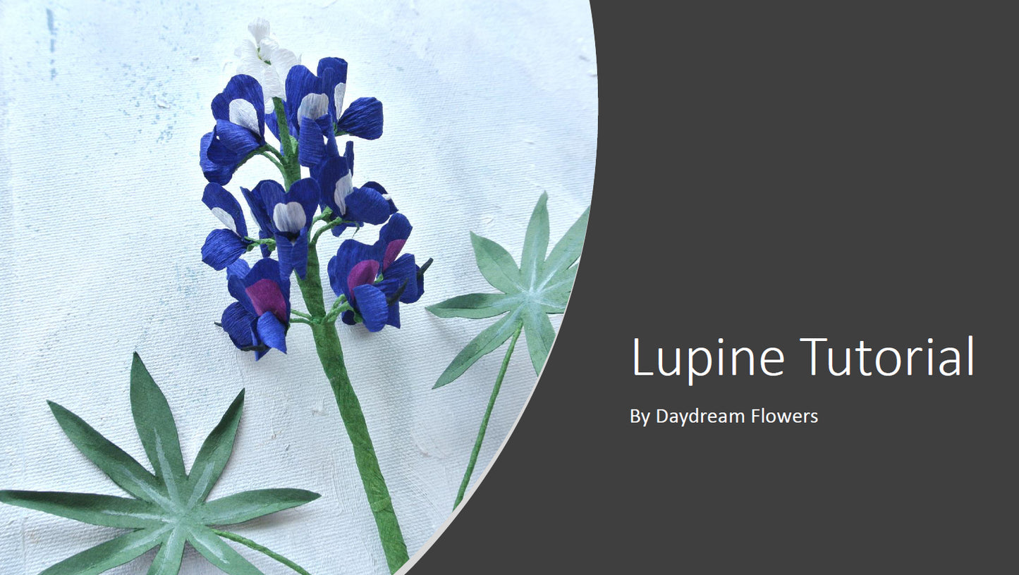 Tutorial: Lupine (Texas Bluebonnet)