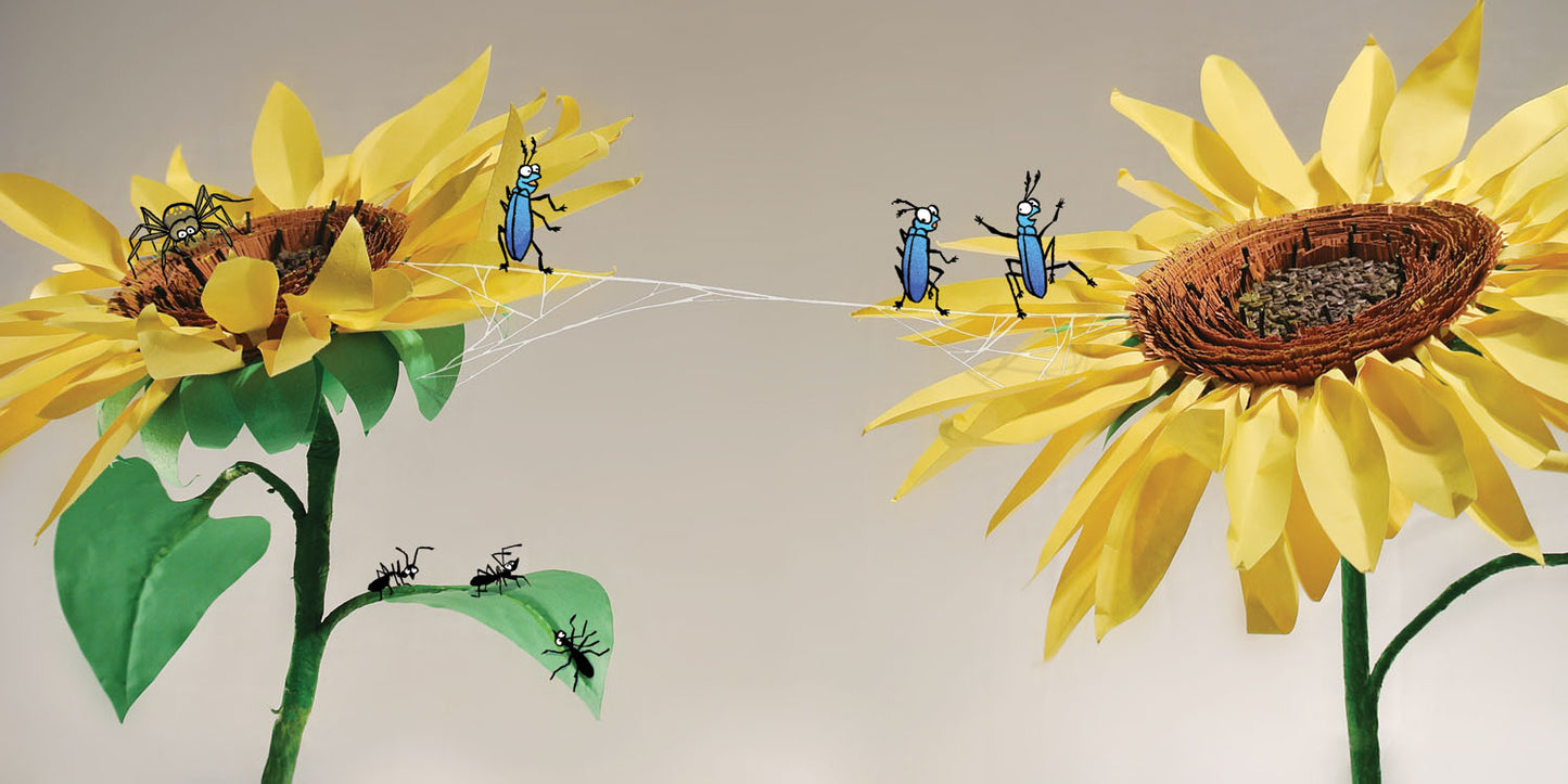 Children's Book: Bugs Birds Blooms